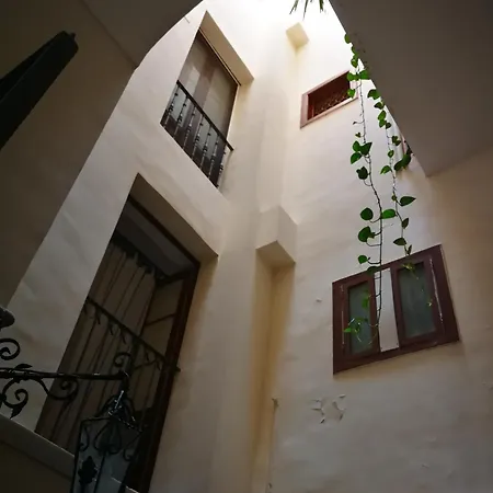 Your Shelter - Private Apartment